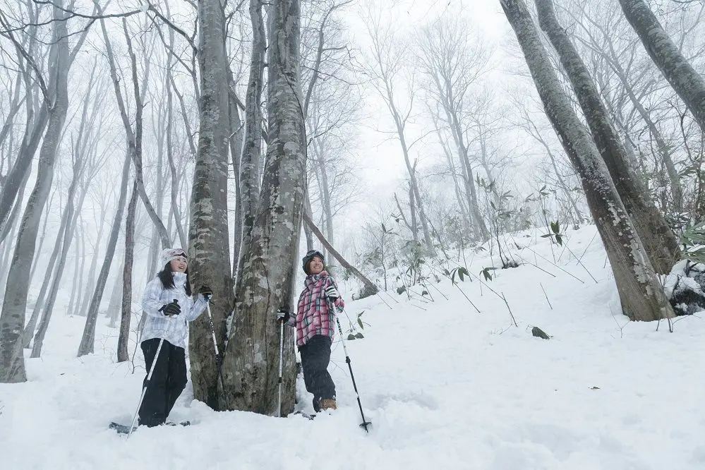 Snowshoeing in Bijinbayashi Forest