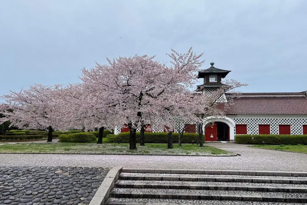 Minatomachi Walking Tour