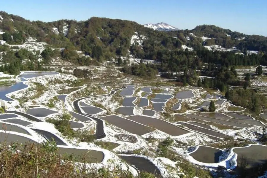 Rice Terrace Trekking