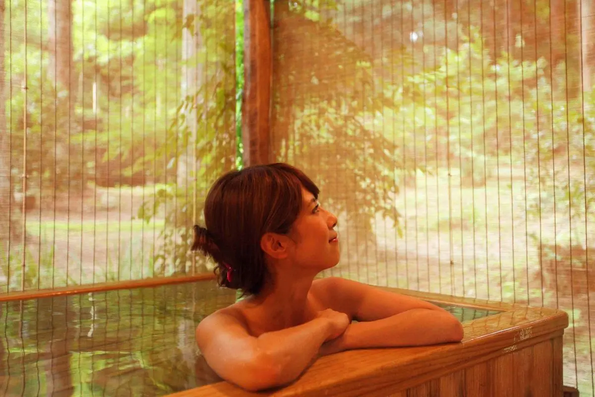 Fuga-no-yado Chouseikan