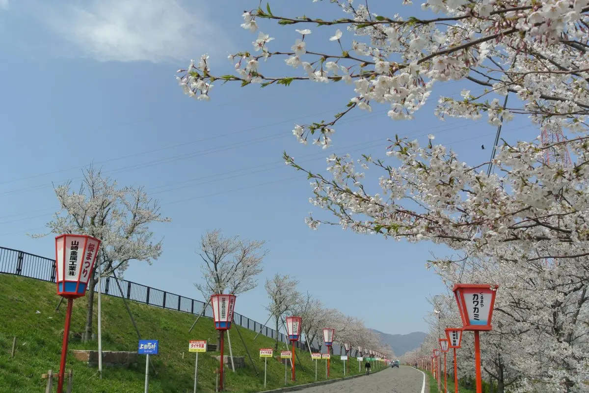 Bunsui Geisha Parade