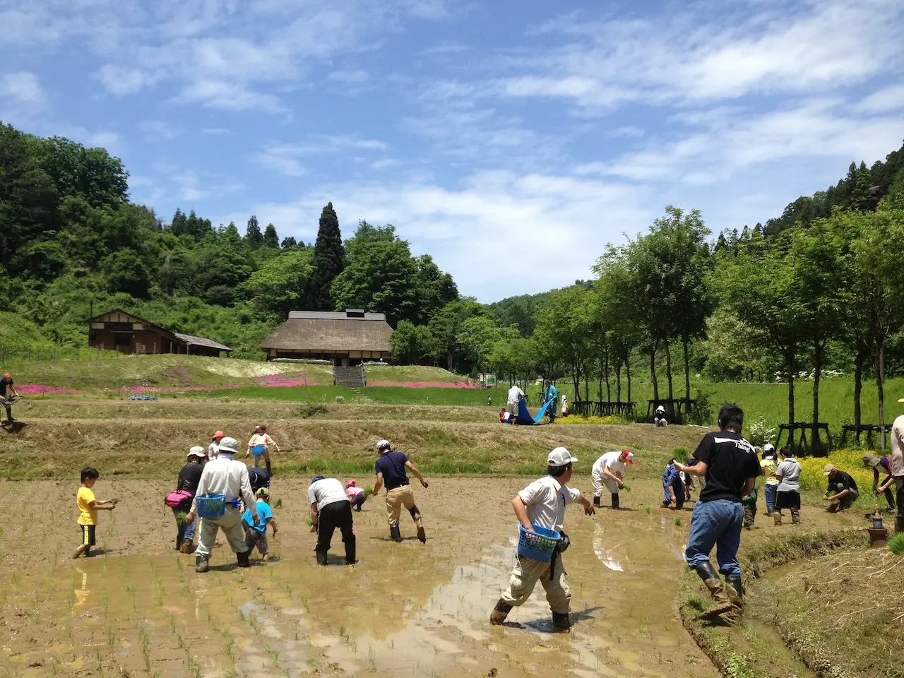 Echigo Hillside Park