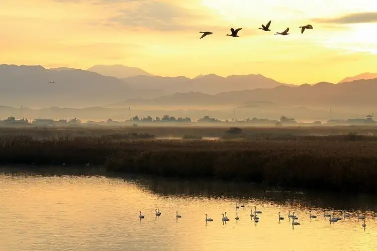 Fukushimagata Lagoon