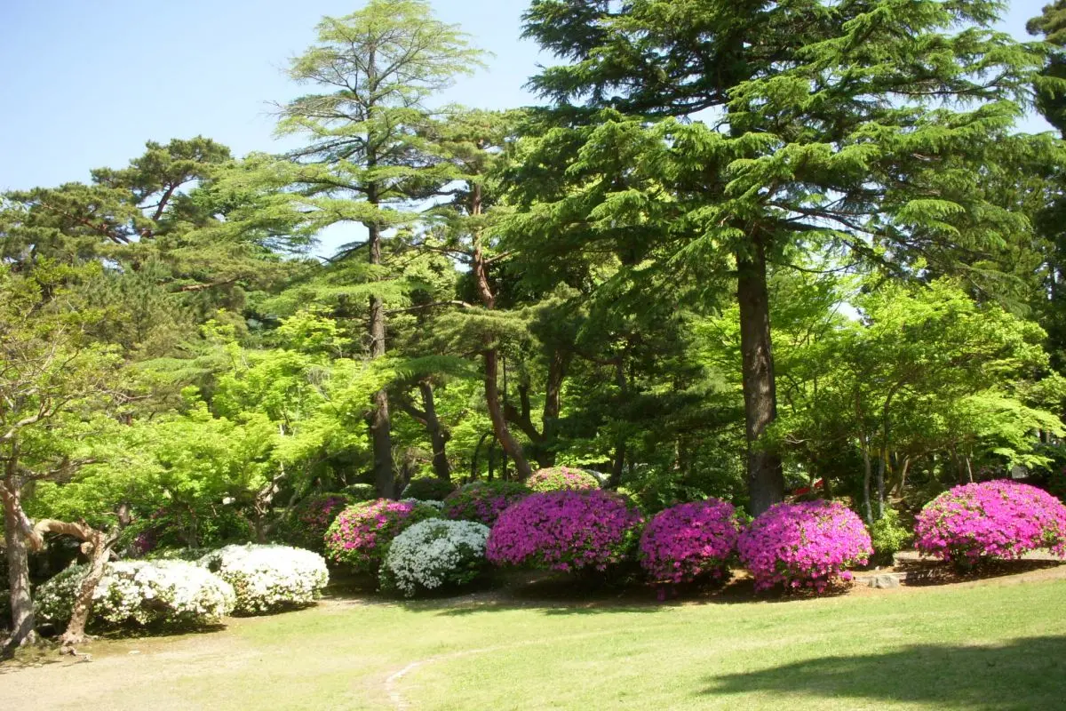 Yahiko Park