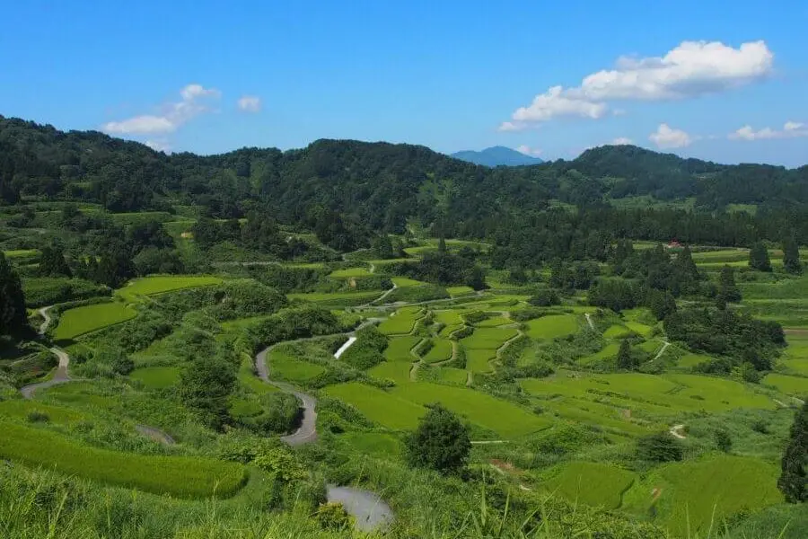 Hoshitoge Rice Terraces
