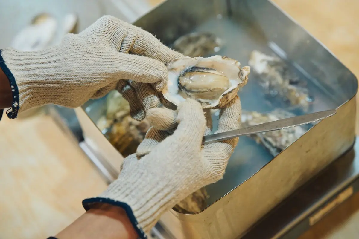 Harbor Marche Pier Bandai