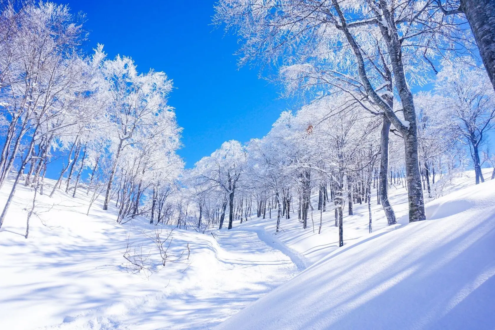 Mount Hakkai Ropeway and Observatory