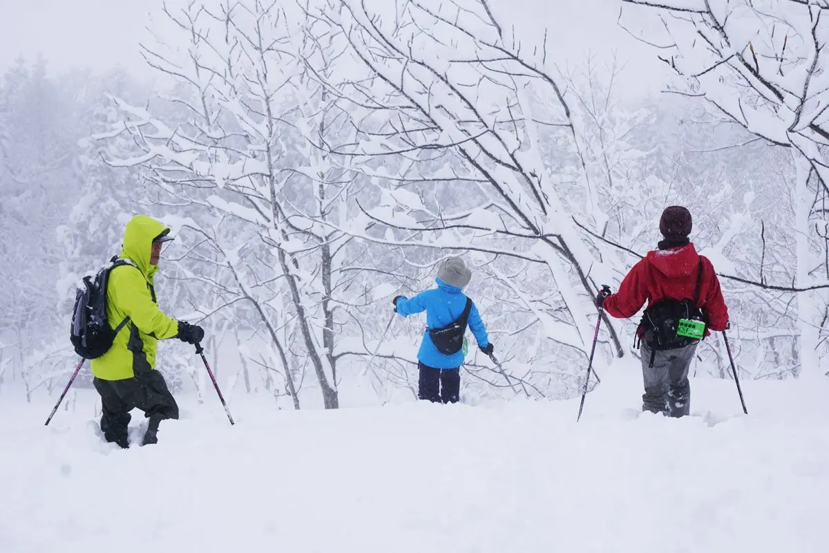 New Greenpia Tsunan Ski Resort