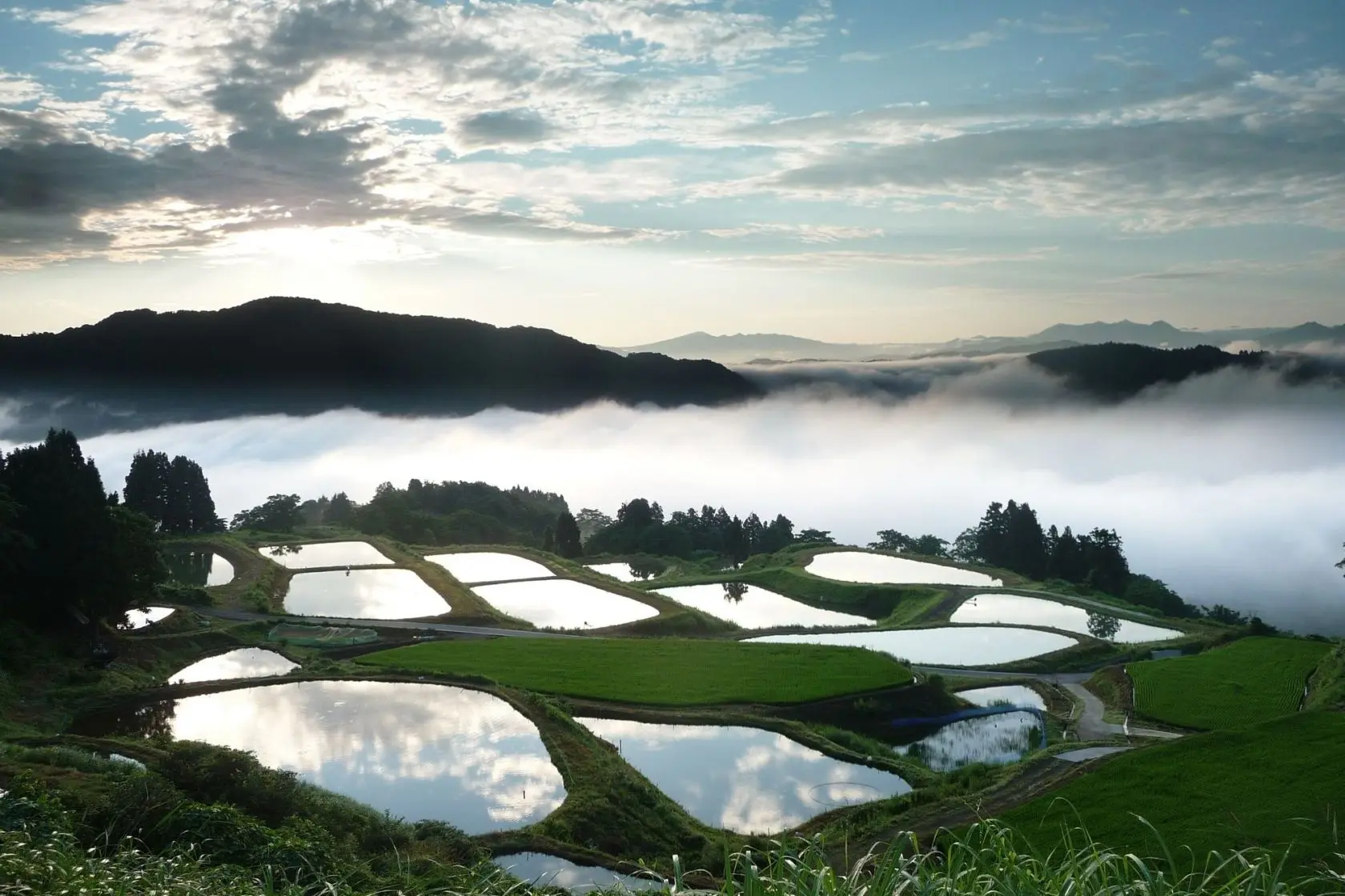 Yamakoshi Rice Terraces