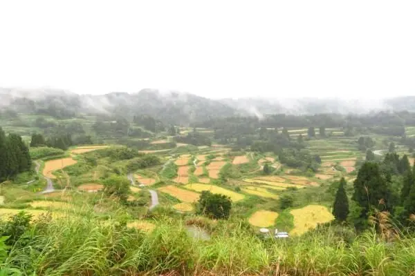 Rice Terrace Trekking