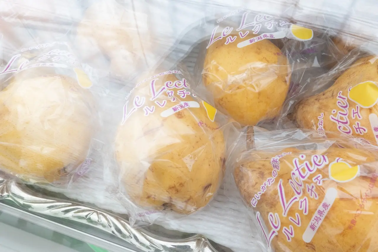 Fruit Garden Shirone Grapes Garden