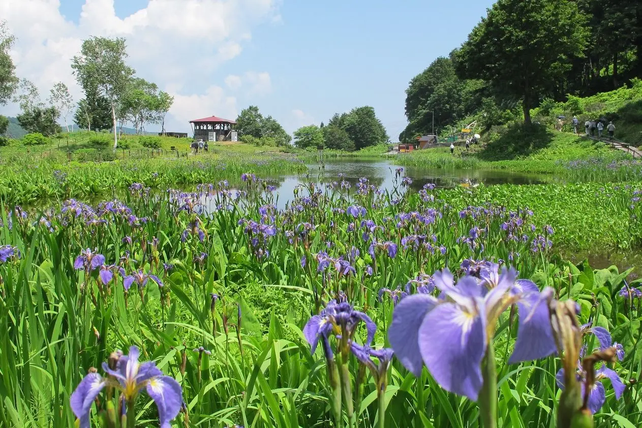 Yuzawa Kogen Panorama Park / Ropeway・Alpine Plant Garaden「Alp no Sato」