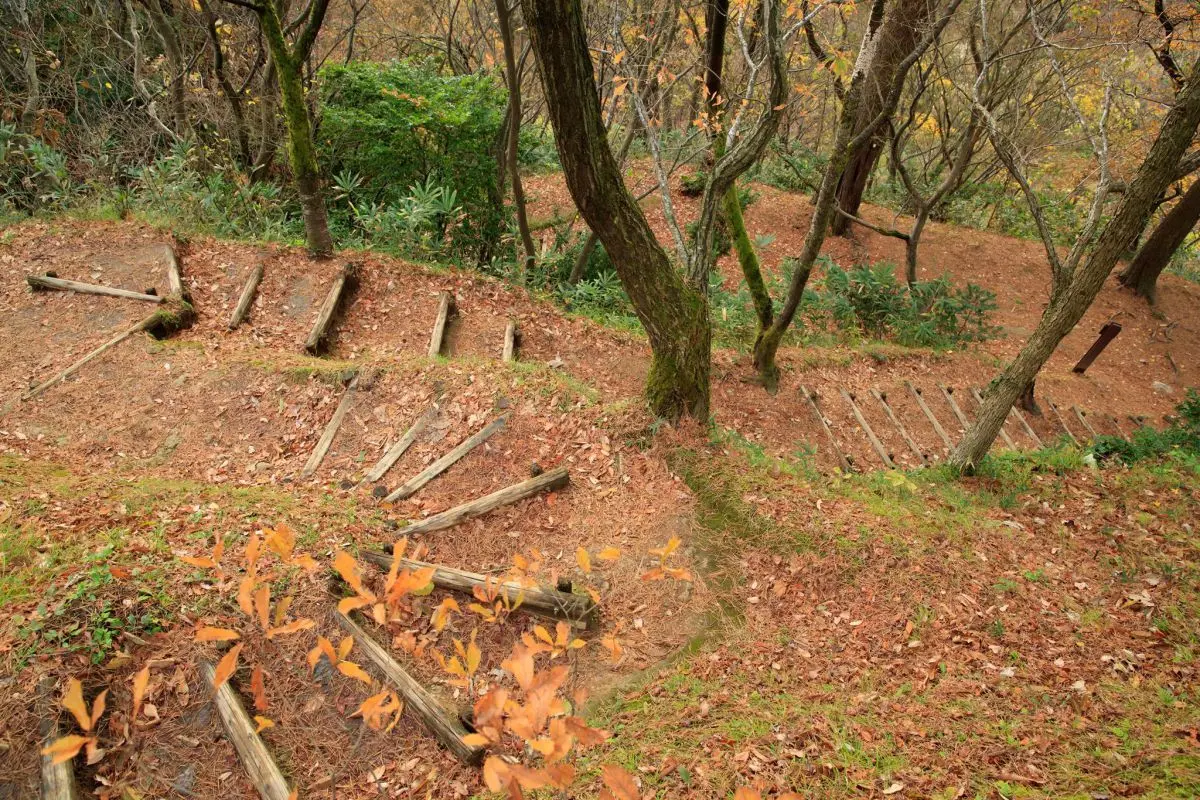 Site of Kasugayama Castle