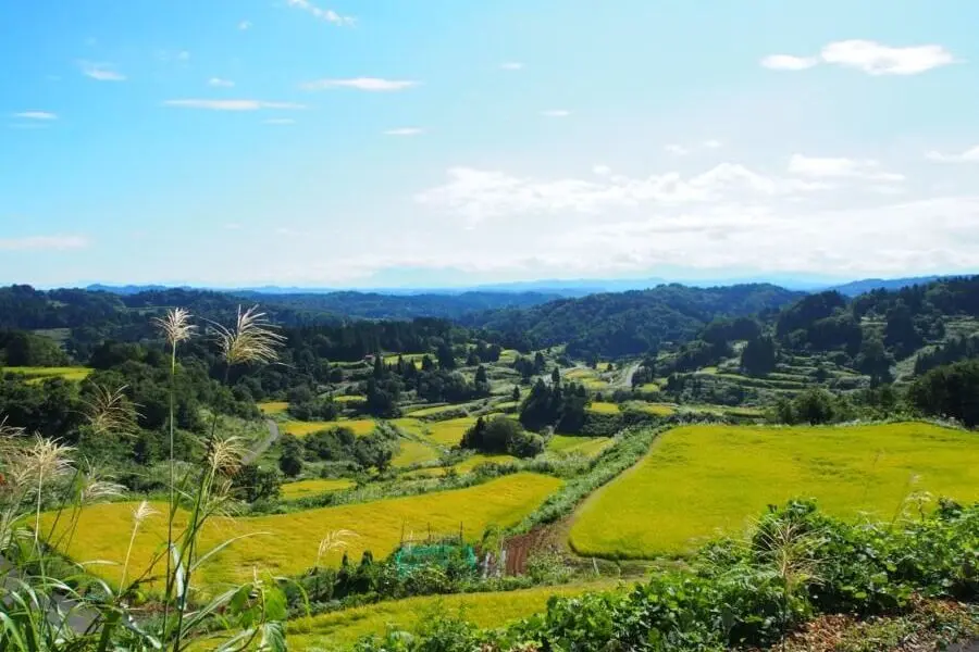 Hoshitoge Rice Terraces