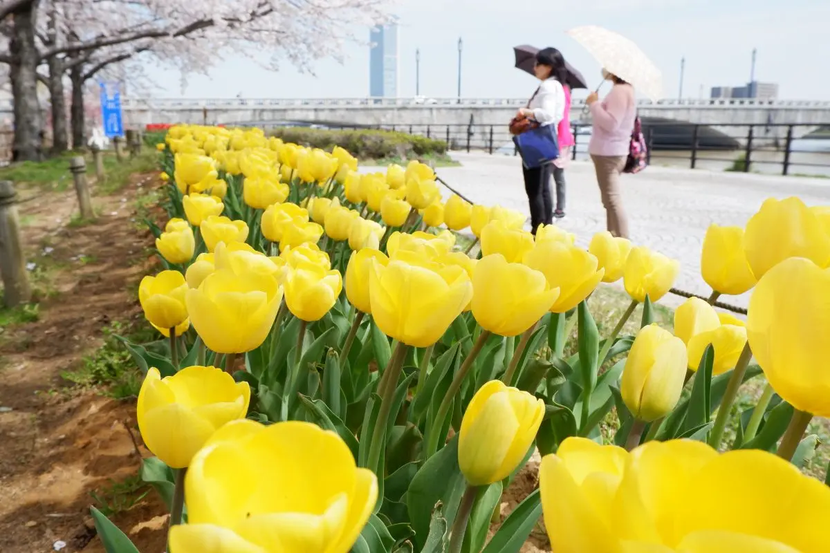 Yasuragitei Embankment