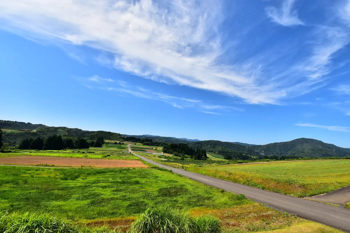 Uwappara Cosmos Park