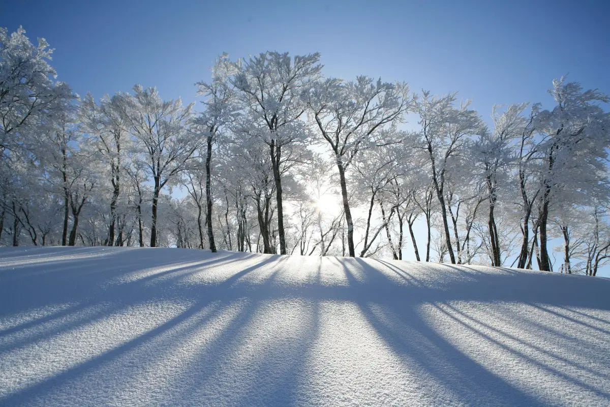 Muikamachi Hakkaisan Ski Resort