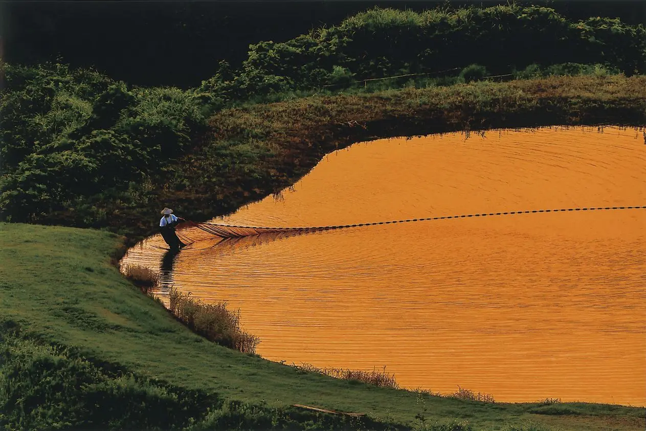 Yamakoshi Rice Terraces