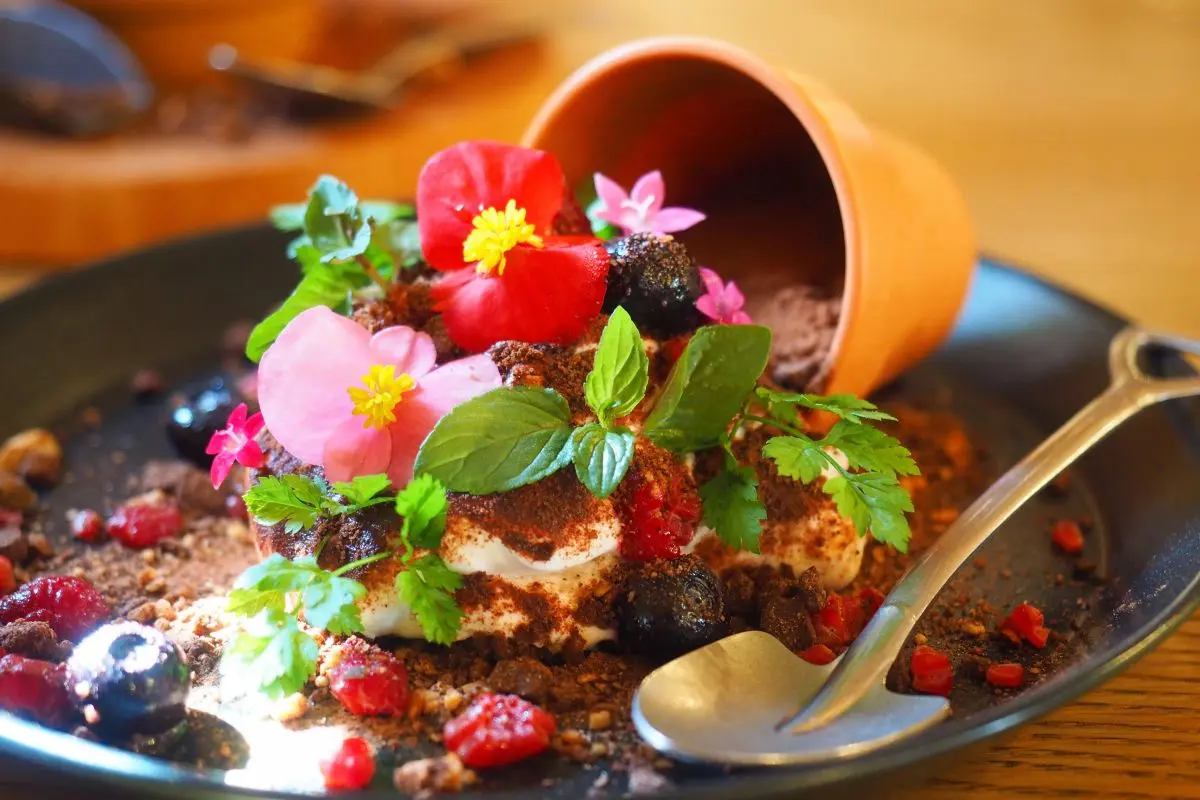 Mitsuke English Garden