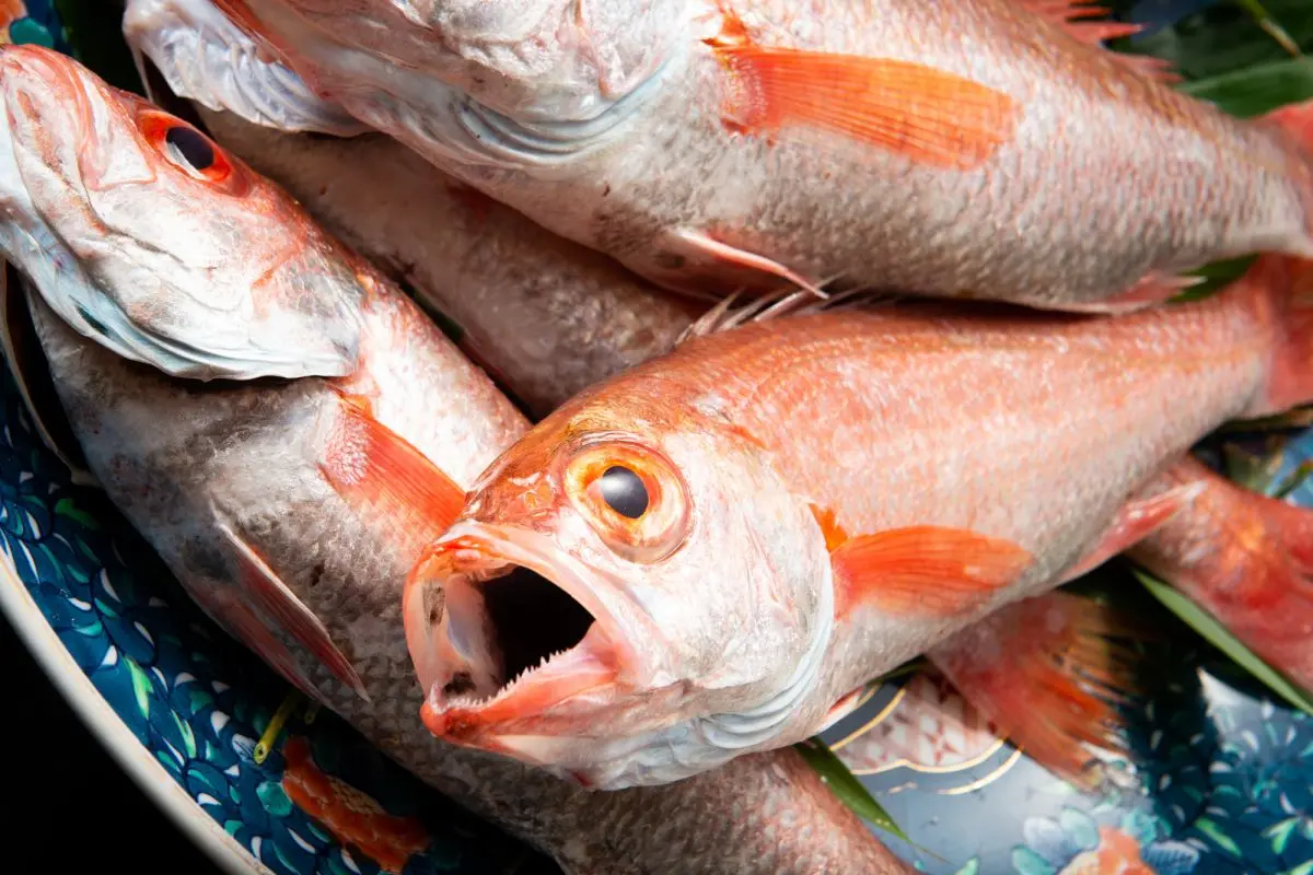 Inn of Four Seasons – Minoya