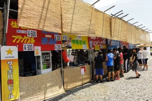 Tsunan Sunflower Field