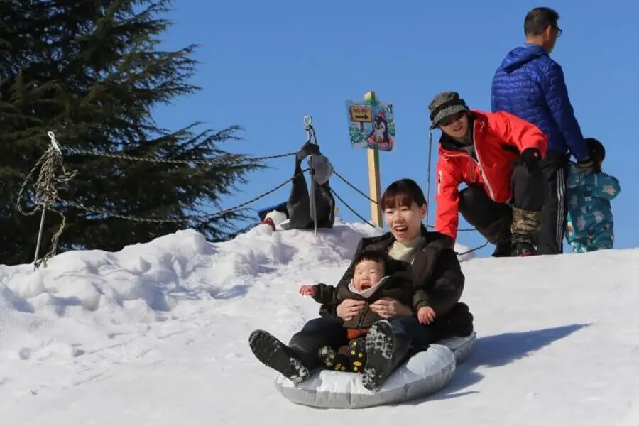 Tokamachi Snow Festival