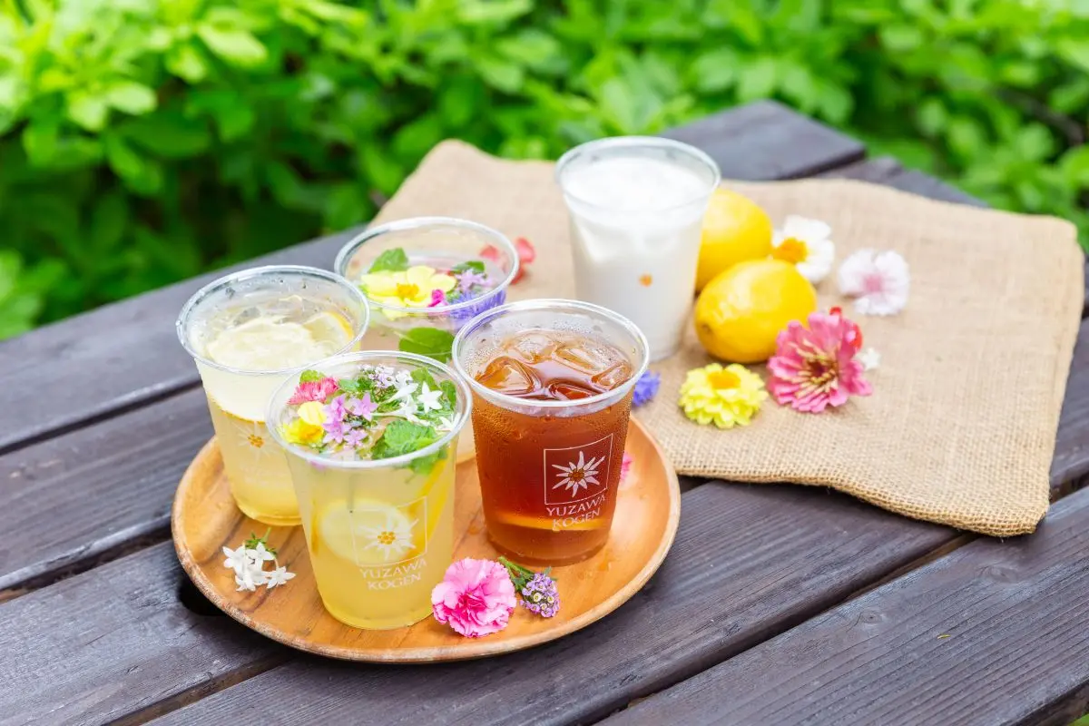 Yuzawa Kogen Panorama Park / Ropeway・Alpine Plant Garaden「Alp no Sato」