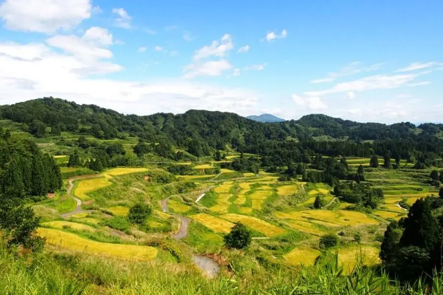 Hoshitoge Rice Terraces