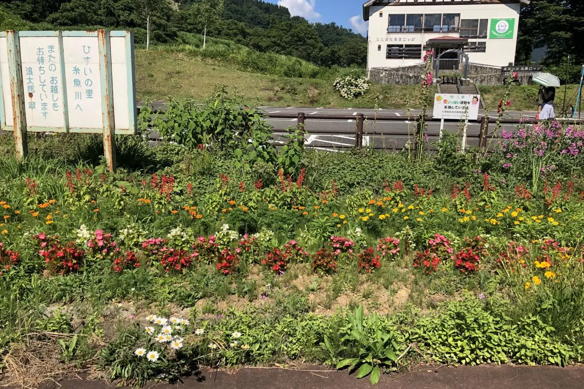 Takanami-no-Ike Pond