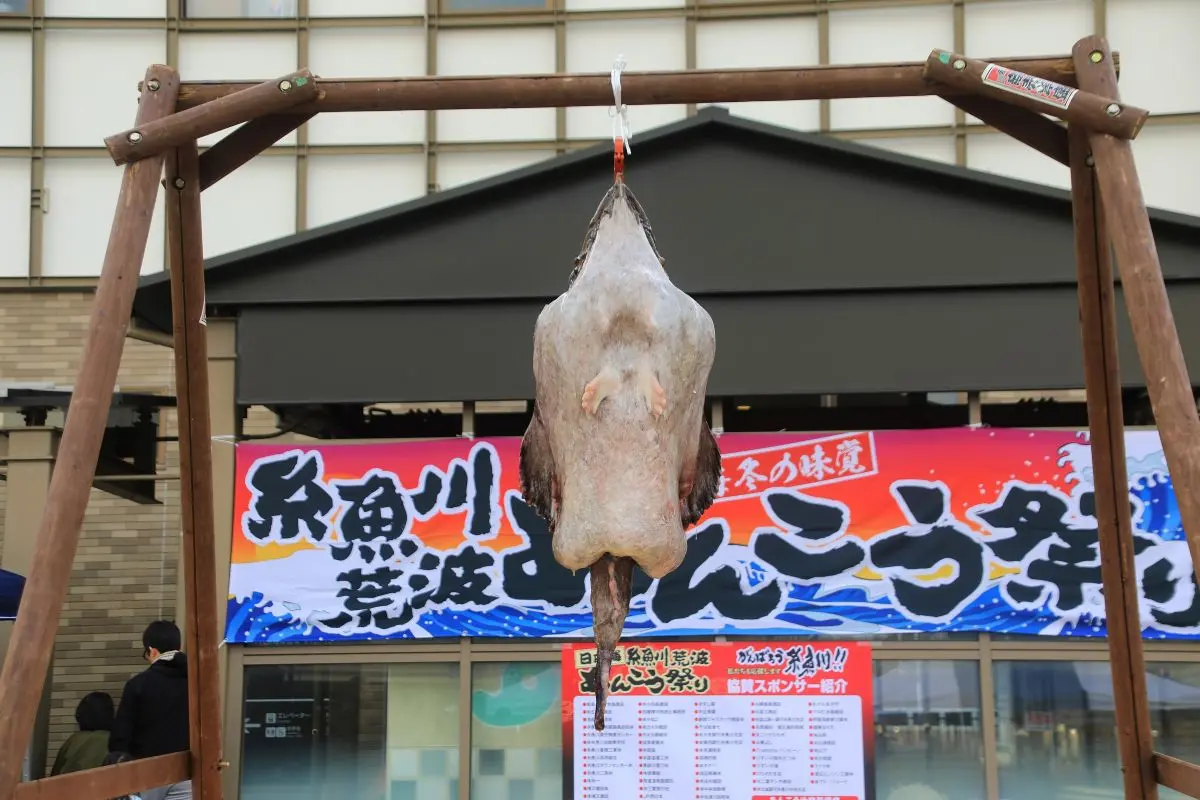 Itoigawa Ankou (Anglerfish) Festival