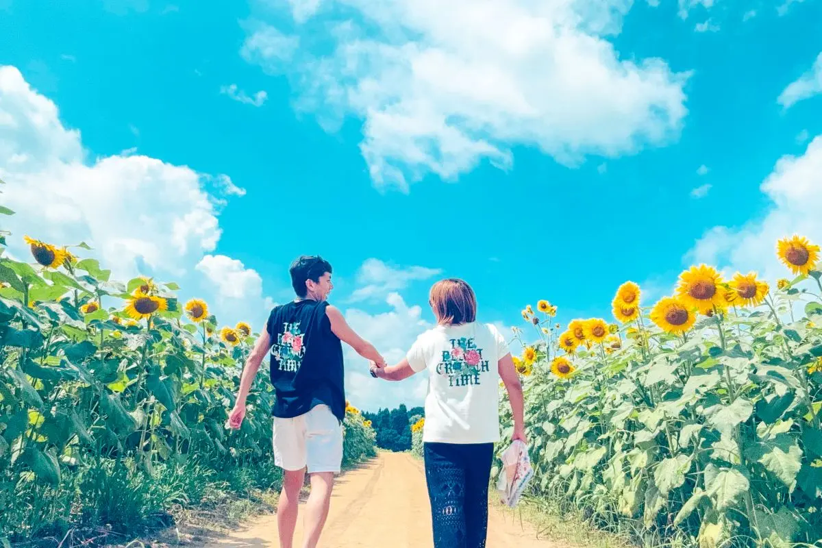Tsunan Sunflower Field