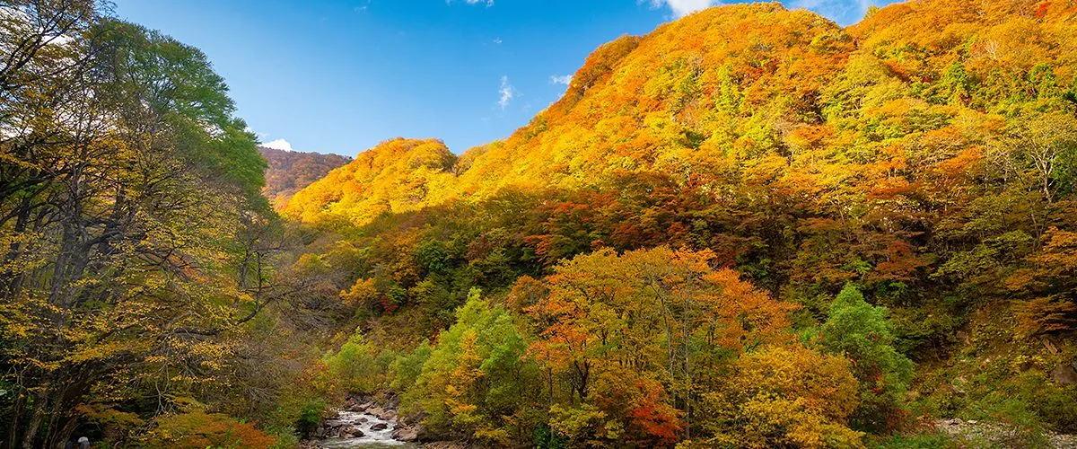 JOETSU AREA～Autmn in Myoko(By Chuta Kooanantkul)～