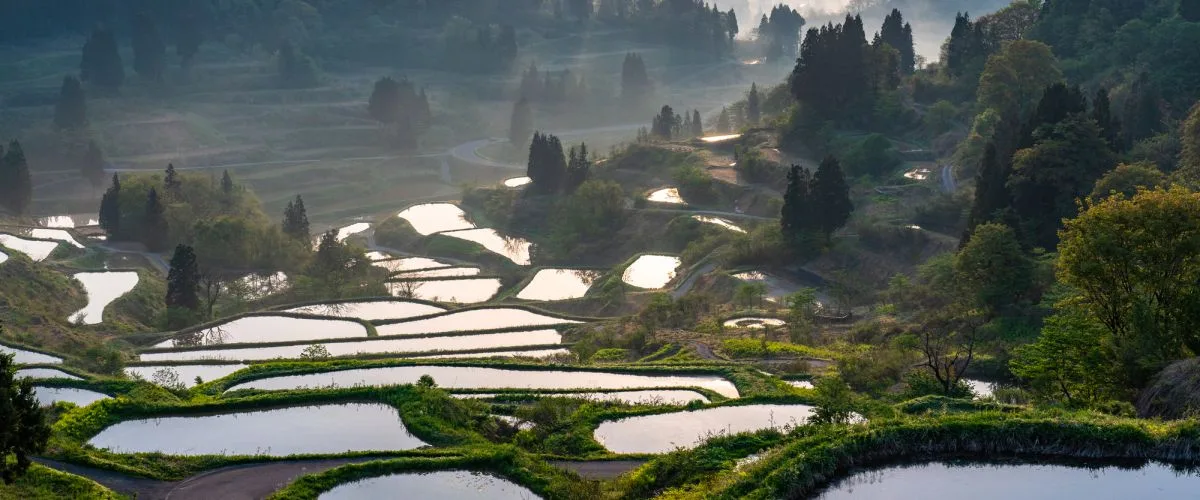 Must-See Scenic Spots Showcasing the Wonders of Nature!