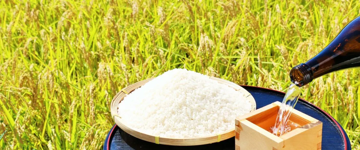 Discover Niigata Prefecture’s Authentic Sake Culture Nurtured by the Snow