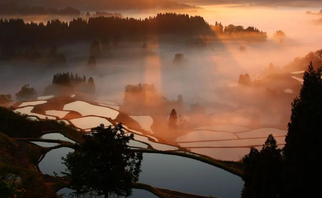 Trip to an Unexplored Region to Immerse in the Landscapes of Japan