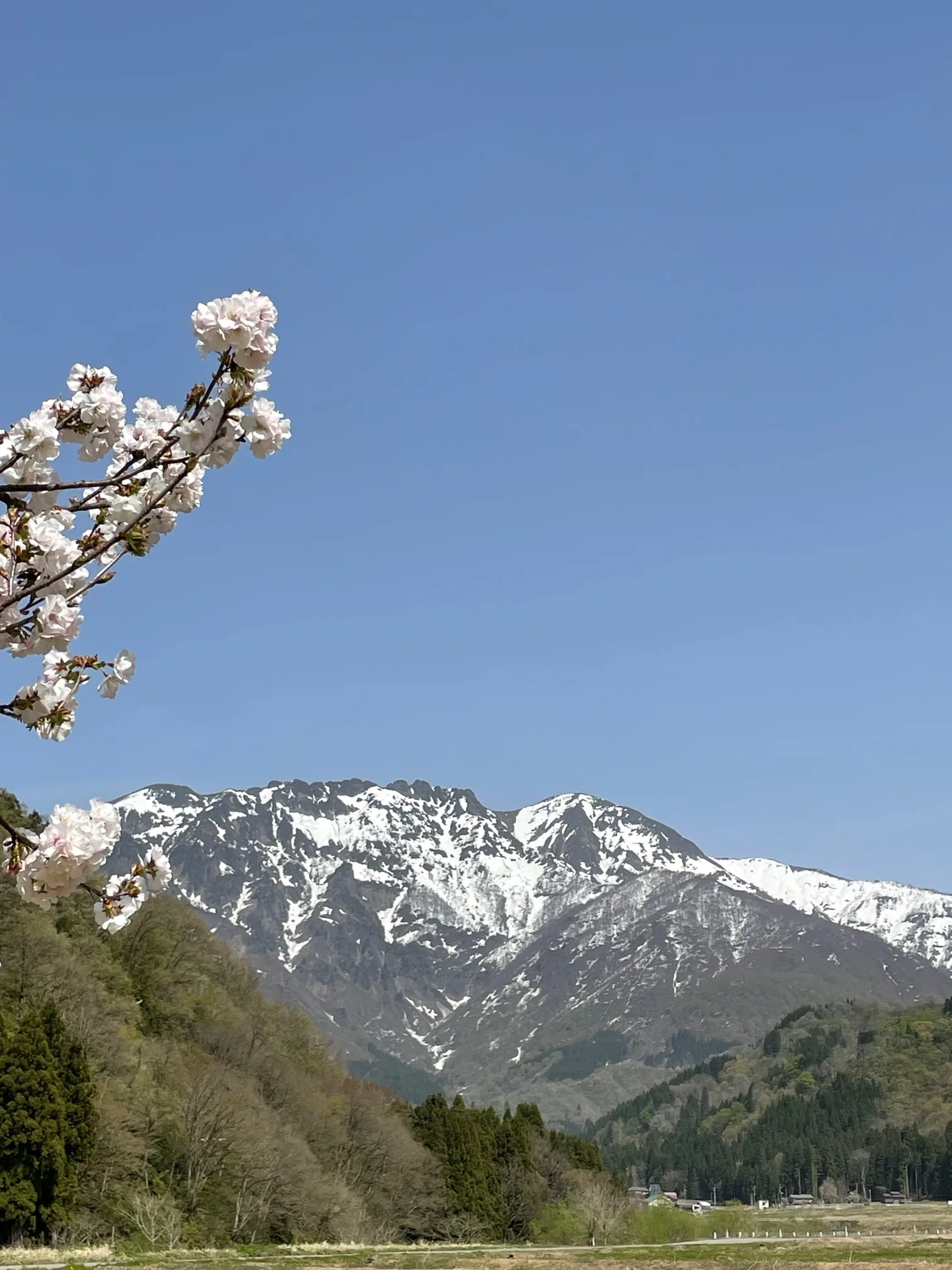 Tomioka White Museum