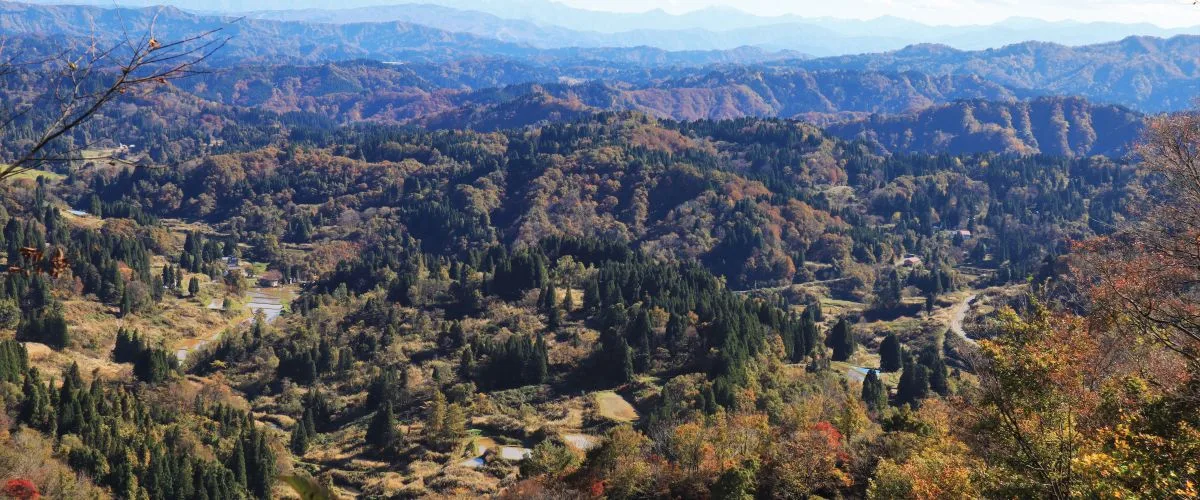 Plant your feet, and get a refreshing look at life outside the city