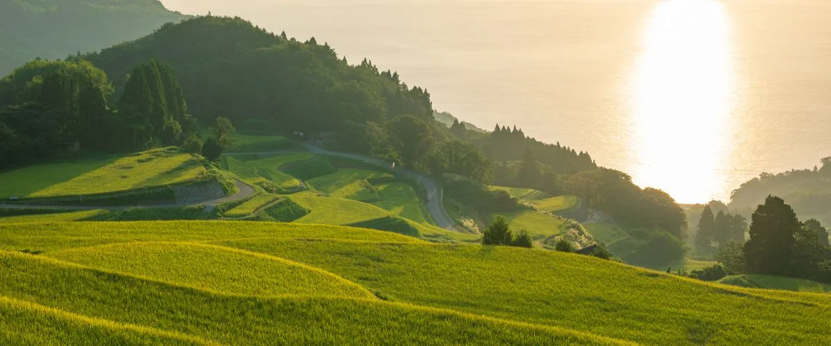 Savoring Sake, Snow, and Sado