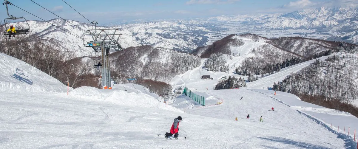 Slide into a Winter Wonderland