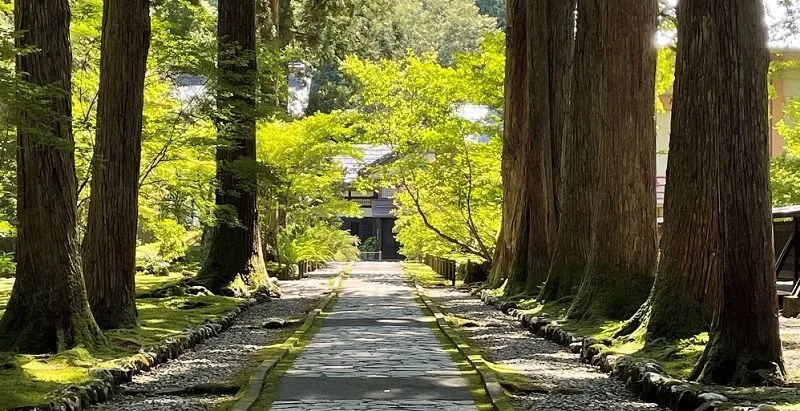 5. Sightseeing spots