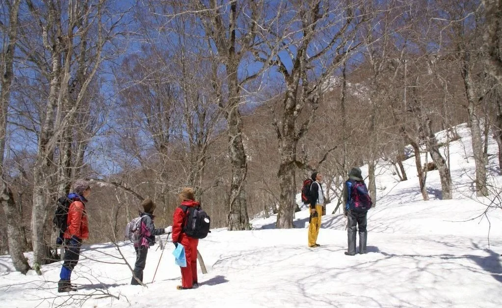 Enjoy soothing hot springs and all kinds of activities! A photogenic journey through the winter landscapes of Yuzawa and Uonuma