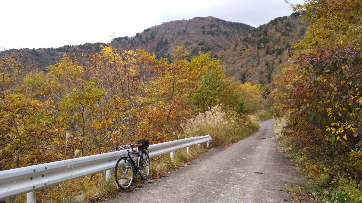 Ishina Natural Cedar Route