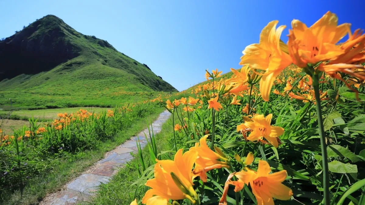 Sado Ichi (Osado Circuit)