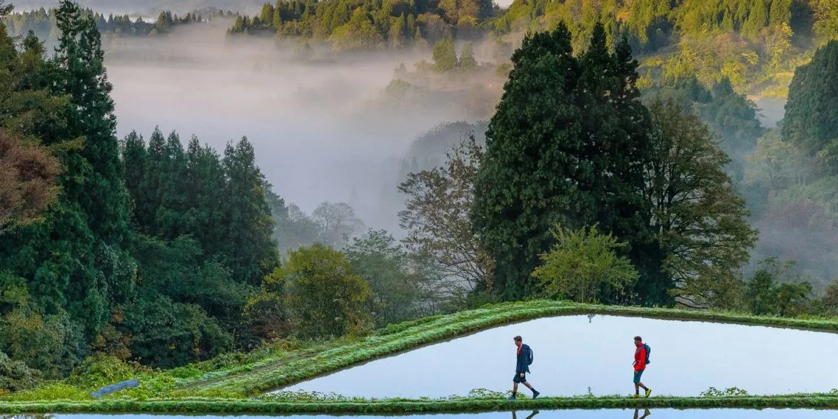 Model Course 1: [Uonuma - Sado Course] 5-Day Sado and Uonuma Exploration - Covering the Sado-Mikuni Kaido Golden Trail