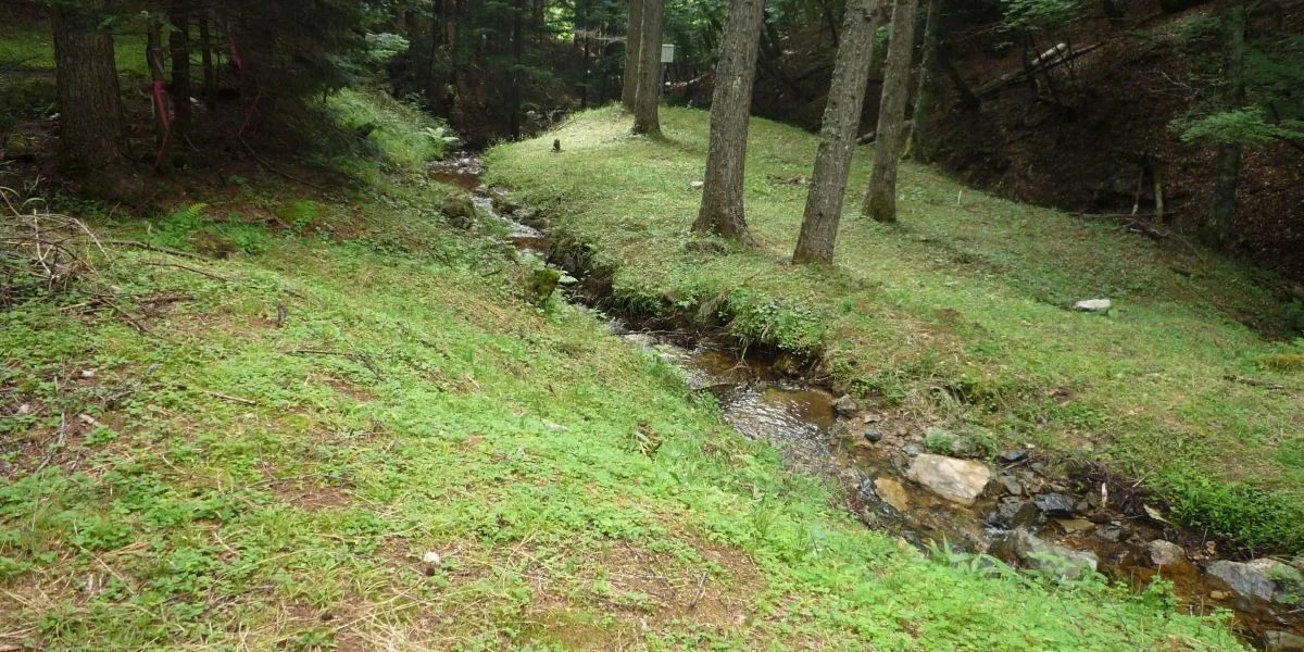 Gold KAIDO Cycling Route