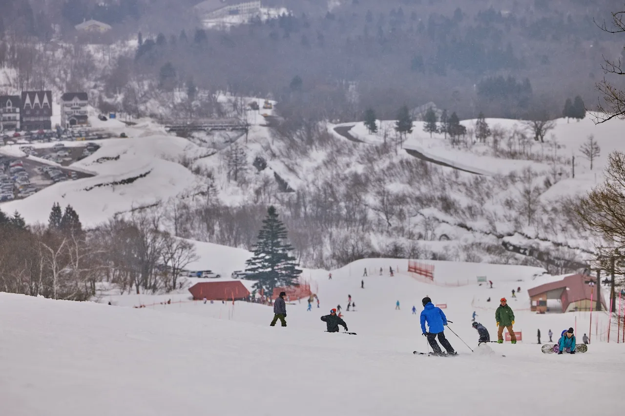 A Wide Variety of Choices: Ski Resorts Loved Worldwide