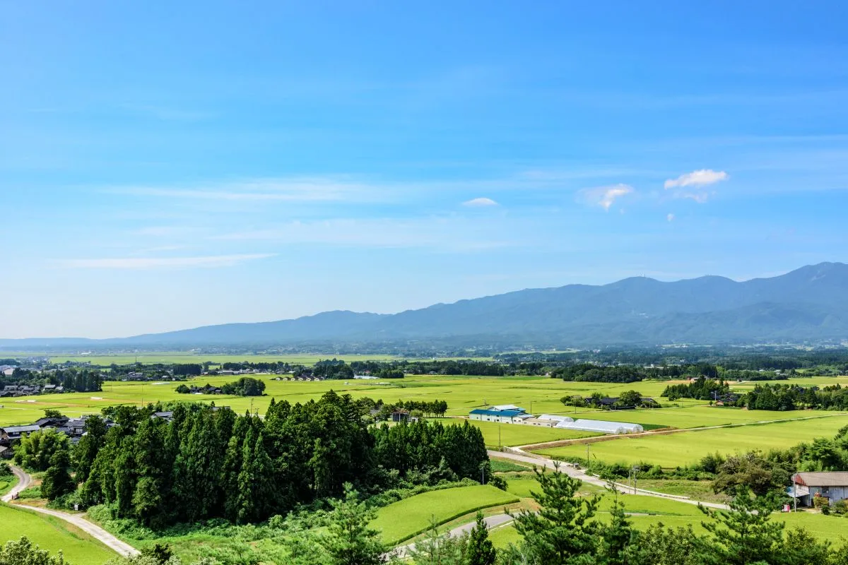 1. 2,000 Years of Rice Farming and a Culture Reshaped by Gold Mining