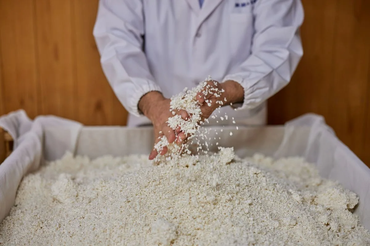 Why Does Niigata Boast the Most Sake Breweries? The Story of Niigata Sake