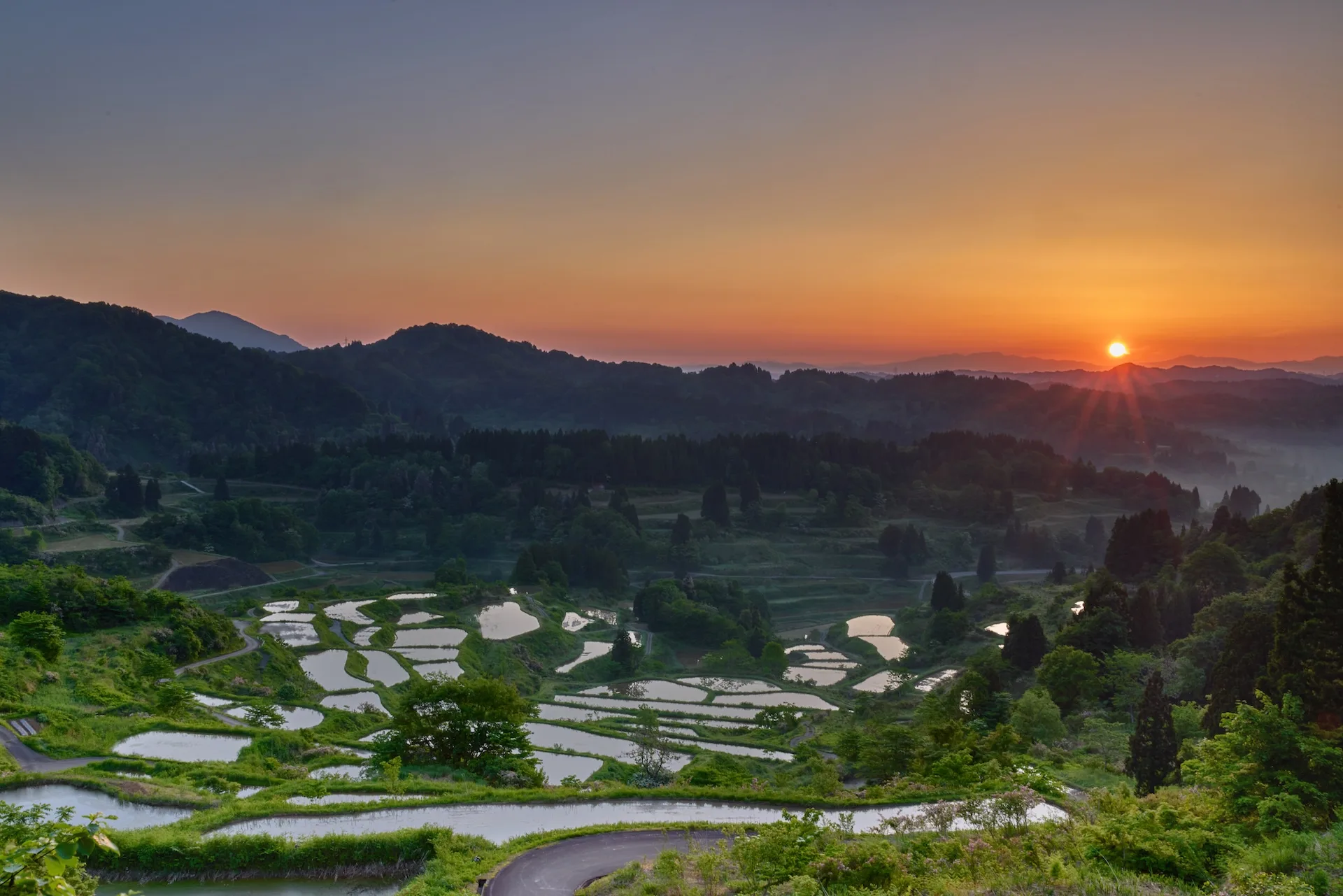 Hoshitoge Rice Terraces