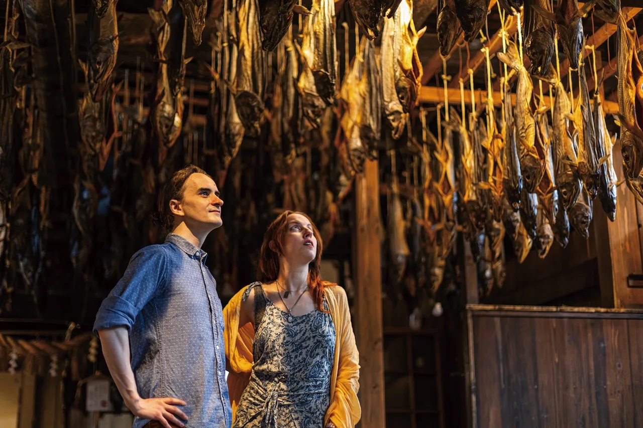 Murakami and Shibata Area